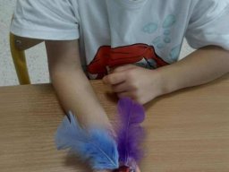 55892502912764941876118607735257953737217384n